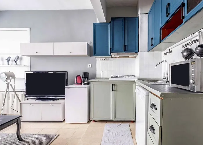 Sleek Flat With Excellent View In Cihangir Apartment